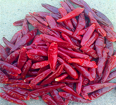 New Generational Chilli