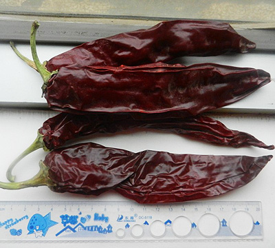 Tieban Chilli