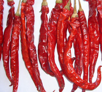 Erjingtiao Chilli