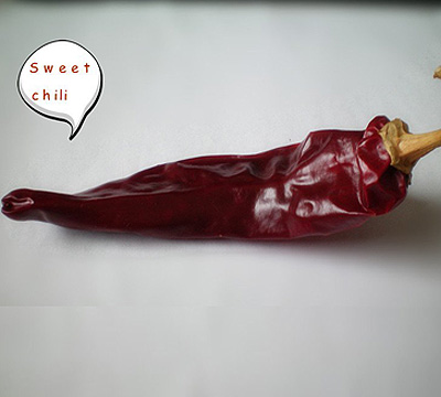 Jinta Chilli