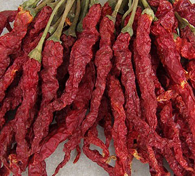 Xian Chilli