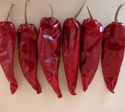 Yidu Chilli