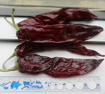 Tieban Chilli